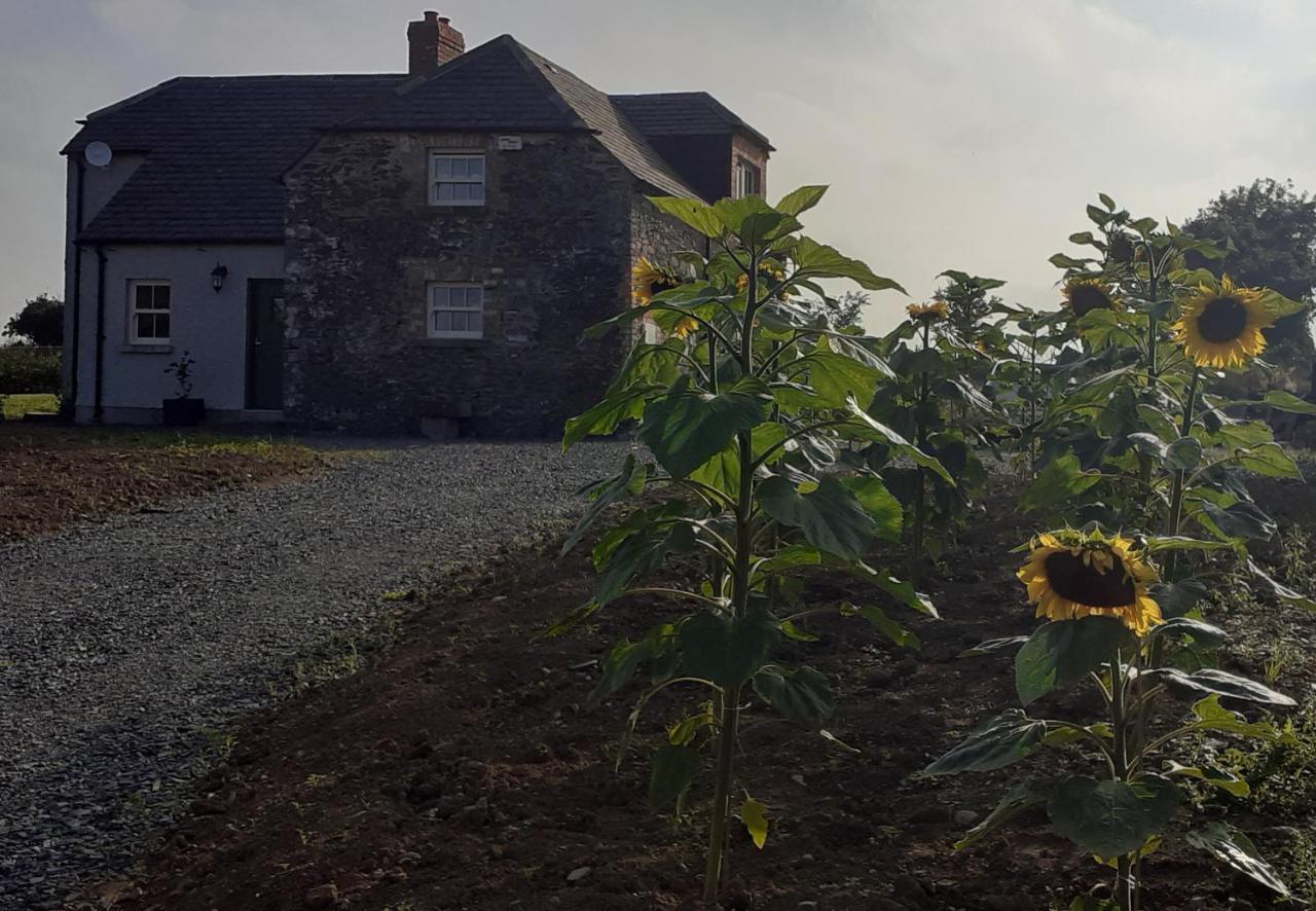 The Shepherd'S Lodge Tullyallen Экстерьер фото